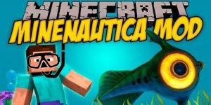 Minecraft 300x150