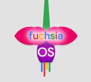 fuchsia os 1